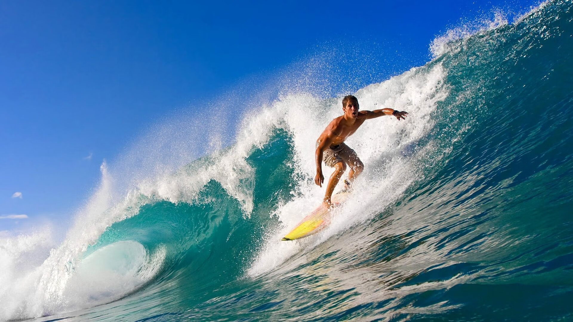 星际争霸2“银河狂潮”预选赛开启,星辰璀璨,showtime星际争霸2